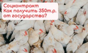 Подробнее о статье Что такое соцконтракт? Как получить соцконтракт?   Как открыть бизнес с помощью соцконтракта?