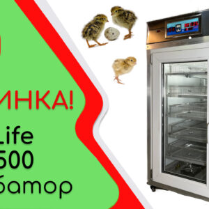 Инкубатор “NEW LIFE” №1